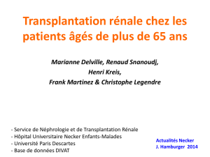 Transplantation rénale après 65 ans