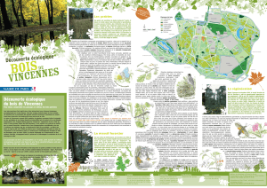 Découverte écologique du Bois de Vincennes