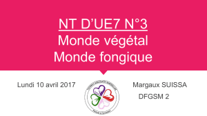 Monde végétal - Tutorat Associatif Marseillais