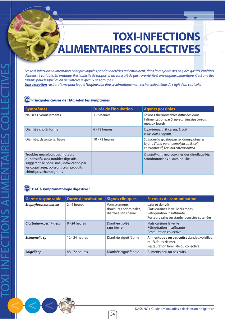 Les Toxi infections Alimentaires Collectives TIAC DASS NC