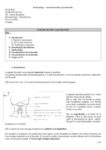 Reproduction Pr Le Corroller 10 pages Anatomie thyroïde et p