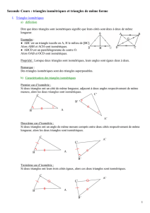 cours triangles isométriques et triangles de même forme