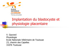 Implantation du blastocyste et physiologie placentaire