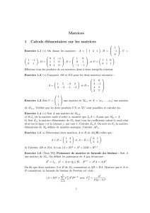 Matrices 1 Calculs élémentaires sur les matrices
