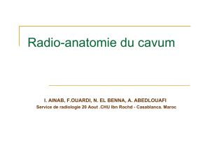 Radio-anatomie du cavum