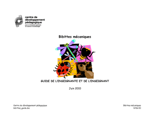 bibittes_guide - Centre de développement pédagogique