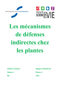 Rapport sur les mécanismes de défenses indirectes chez les plantes