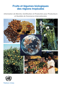 Fruits et légumes biologiques des régions tropicales