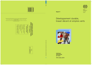 Rapport V - Développement durable, travail décent et emplois