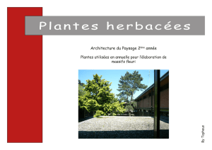 Livret plantes herbacées.indd