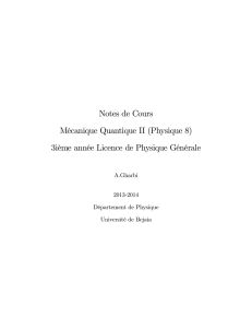 Notes de Cours Mécanique Quantique II (Physique 8) 3ième année