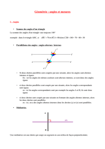 Géométrie : angles et mesures