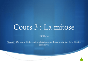 Cours 3 : La mitose