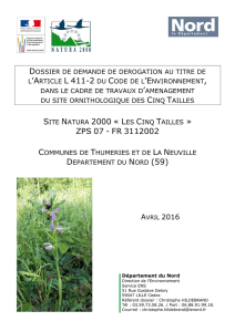 Dossier de demande de dérogation Ophrys abeille