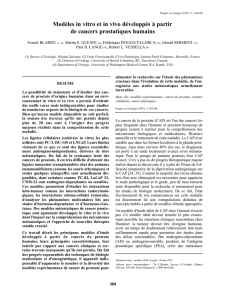 Modèles in vitro et in vivo développés à partir de