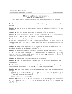 Théorie algébrique des nombres Feuille d`exercices n  1