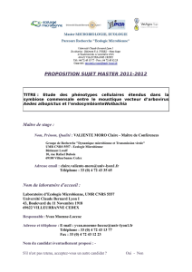 PROPOSITION SUJET MASTER 2011-2012 Maître de stage : Nom