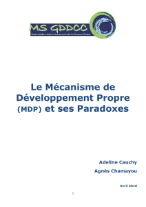 Le Mécanisme de Développement Propre (MDP) et ses Paradoxes