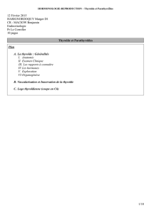 12 Février 2015 HARIGNORDOQUY Margot D1 CR