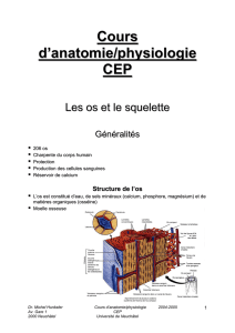 Cours d`anatomie/physiologie CEP