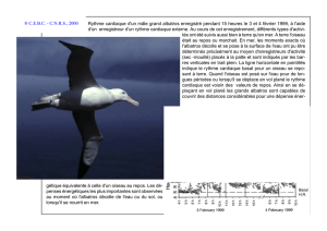 Rythme cardiaque d`un mâle grand albatros enregistré pendant 15