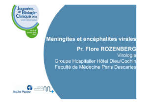 Méningites et encéphalites virales Pr. Flore ROZENBERG