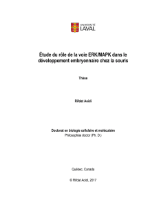 PDF(10,27Mo) - Collection mémoires et thèses électroniques