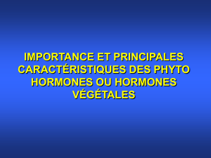 importance et principales caractéristiques des phyto hormones ou
