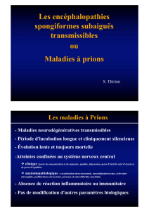 cours prions-M1