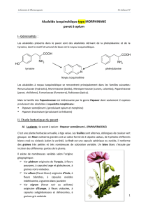 Alcaloïde isoquinoléique type MORPHINANE pavot à opium I
