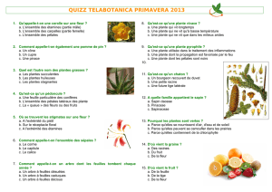 Quiz Botanique - Tela Botanica