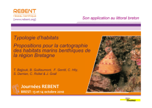 Typologie des habitats benthiques de la région Bretagne