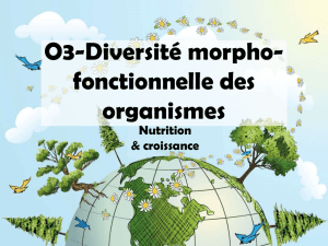 O3-Diversité morpho-fonctionnelle des organismes