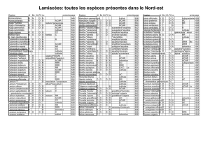 Lamiacées: toutes les espèces présentes dans le Nord-est