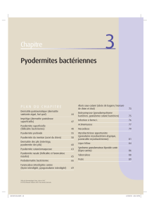 Pyodermites bactériennes