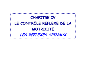 support chapitre IV PHY052