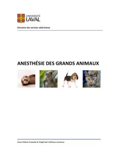 anesthésie des grands animaux - Direction des services vétérinaires