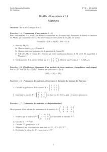 Feuille d`exercices n˚14 Matrices