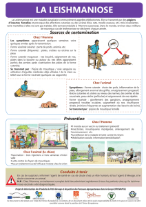 Fiches de préventions contre les zoonoses