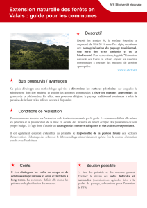 Extension naturelle des forêts en Valais : guide pour les communes