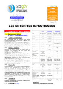 Cf. fiche 122 "Entérites infectieuses"