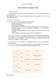 V-24 Beta Lactames(P)