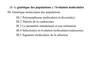 Génétique Moléculaire des Populations
