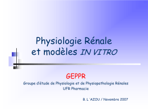 Physiologie Rénale et modèles IN VITRO - e