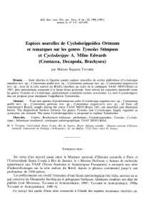 Espèces nouvelles de Cyclodorippoidea Ortmann et