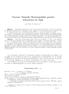 Nouveaux Nematodes Metastrongyloidea parasites d