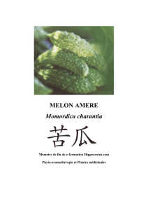 Melon amère - Hippocratus