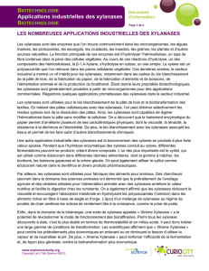 BIOTECHNOLOGIE Applications industrielles des xylanases