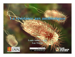 La résistance aux antibiotiques