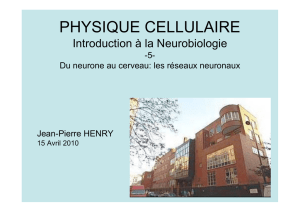 PHYSIQUE CELLULAIRE